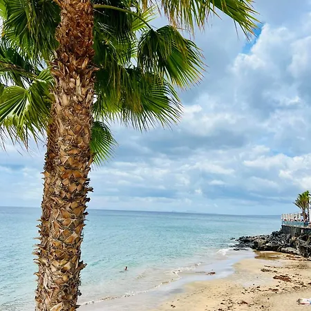 Appartement Casa Oasis *