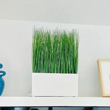 アパート Casa Oasis プエルト・デル・カルメン